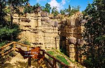 Private van with driver for 1 day, Pha Chor, and Doi Inthanon