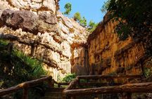 Private van with driver for 1 day, Pha Chor, and Doi Inthanon