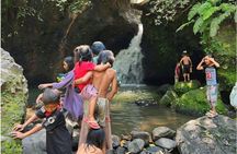 Full-day tour of rice fields, waterfalls and monkeys in Tetebatu