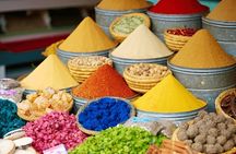 Cooking class and camel ride with lunch from Agadir
