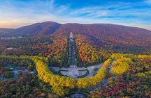 Private tour of ancient Nanjing with a local guide