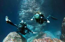 Beginner scuba diving adventure in Malta