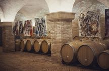 Wine tasting tour at Poggio del Moro boutique winery