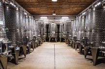 Wine tasting tour at Poggio del Moro boutique winery