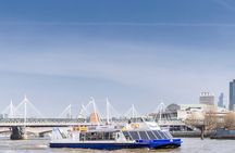London 24 Hour River Pass tickets