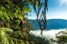 Blue Mountains Waterfalls Full-Day Tour with Lunch and Dinner