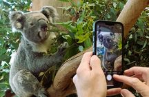 Blue Mountains Waterfalls Full-Day Tour with Lunch and Dinner