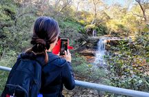 Blue Mountains Waterfalls Full-Day Tour with Lunch and Dinner