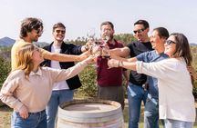 Montserrat full-day tour with lunch and winery visit