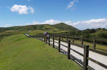 Full-Day Beitou and Yangmingshan Guided Tour from Taipei