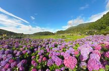 Full-Day Beitou and Yangmingshan Guided Tour from Taipei