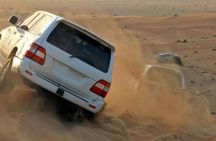 4-hour Inland Sea Mesaieed desert safari from Doha