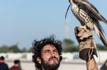 4-hour Inland Sea Mesaieed desert safari from Doha