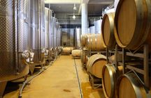 Vinegar cellar and winery tour with tastings and brunch from Bologna