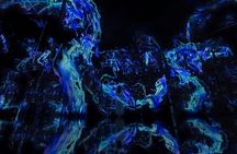 TeamLab Phenomena multisensory art experience Abu Dhabi tickets