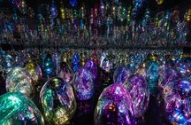 TeamLab Phenomena multisensory art experience Abu Dhabi tickets