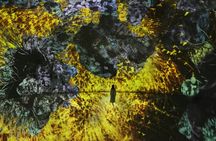 TeamLab Phenomena multisensory art experience Abu Dhabi tickets
