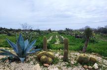Guided sensorial trek and artisanal bitters workshop close to Noto
