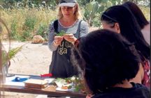 Botanical bitters workshop and nepeta liqueur tasting close to Noto