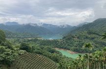 Pinglin Tea Culture and Maokong Day Tour from Taipei