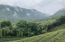 Pinglin Tea Culture and Maokong Day Tour from Taipei