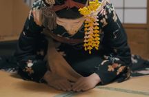 3-hour guided walking tour and Geisha of Gion experience