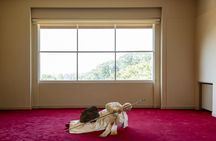 Tickets to Maurizio Cattelan exhibition at the Serralves Villa