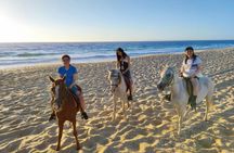 Horse riding private tour in Comporta natural reserve