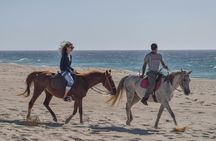 Horse riding private tour in Comporta natural reserve
