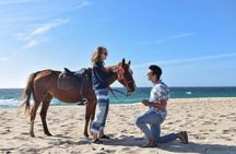 Horse riding private tour in Comporta natural reserve