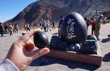 Mt.Fuji,Owakudani, Hakone Cruise & Ropeway, Oshino Hakkai 1-Day Trip