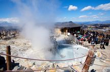 Mt.Fuji,Owakudani, Hakone Cruise & Ropeway, Oshino Hakkai 1-Day Trip