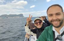 Dolphin watching in Gibraltar from Jerez