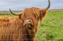 Cawdor Castle entry and visit to the Cairngorms National Park