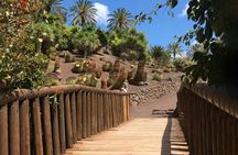 Oasis Park Fuerteventura entrance tickets