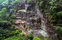 Full-day Wulong’s hidden gems private guided tour