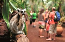 Oasis Park Fuerteventura entrance with lemur experience