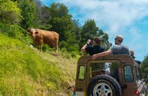 Northern wonders & Porto Moniz lava pools on open roof 4x4 tour