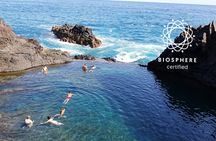 Northern wonders & Porto Moniz lava pools on open roof 4x4 tour
