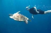 Similan Islands day tour with snorkelling from Khao Lak