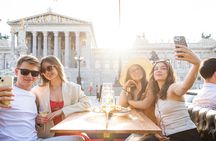 Private Vienna wine tasting tour in an electric vehicle