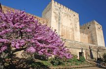 Guided tour of the Alhambra surroundings
