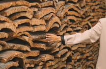 Cork Museum tickets at WOW Porto