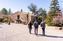 Montserrat full-day tour with lunch and winery visit