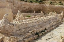 4x4 Tataouine and surroundings with filming locations and Berber lunch