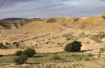 4x4 off-road adventure to Matmata and Ksar Ghilane with lunch