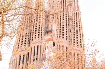 Barcelona guided tour with Sagrada Familia and Park Güell entry