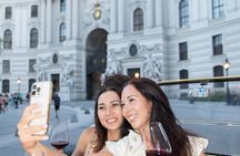 Vienna night tour with candlelit dinner in a classic oldtimer vehicle