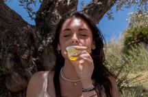 Olive grove guided tour with oil tasting in Agrigento