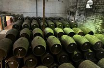 Winery tour and wine tasting in Chiclana de la Frontera in Cádiz